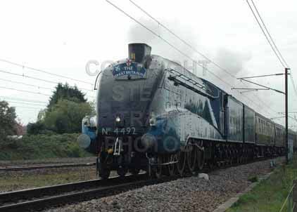 Purchase photo of 4492 DOMINION OF NEW ZEALAND (BITTERN) at Brookmans Park